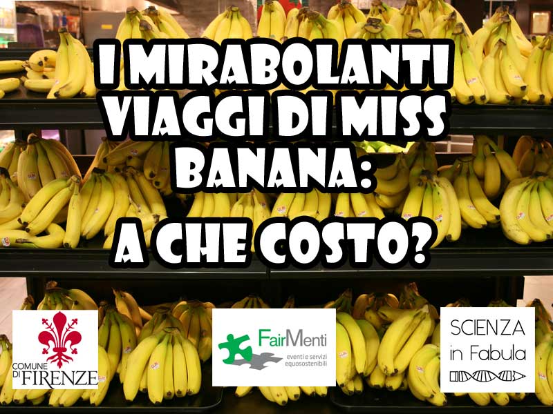 I mirabolanti viaggi di Miss Banana: a che costo?